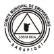 comite municipal emergencias