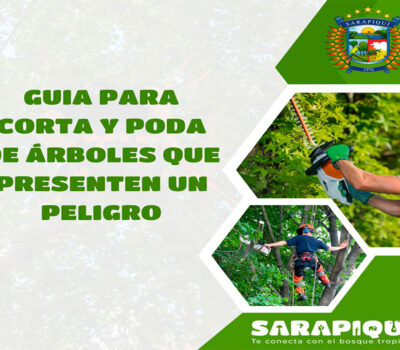 GUIA PARA CORTA Y PODA DE ÁRBOLES QUE PRESENTEN UN PELIGRO