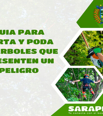 GUIA PARA CORTA Y PODA DE ÁRBOLES QUE PRESENTEN UN PELIGRO