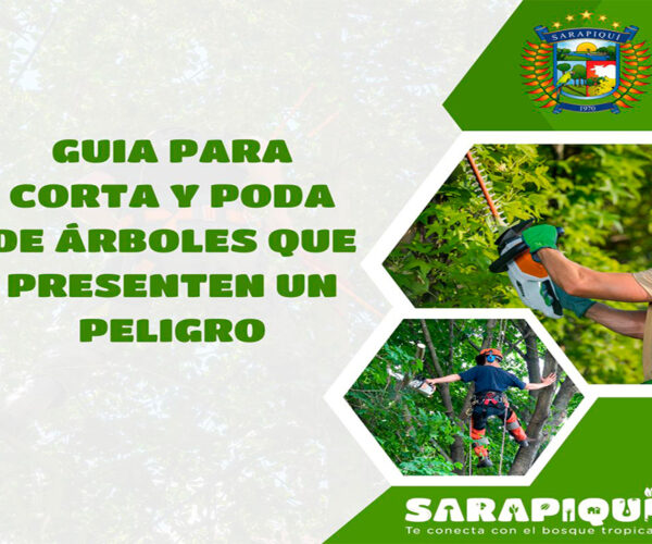 GUIA PARA CORTA Y PODA DE ÁRBOLES QUE PRESENTEN UN PELIGRO