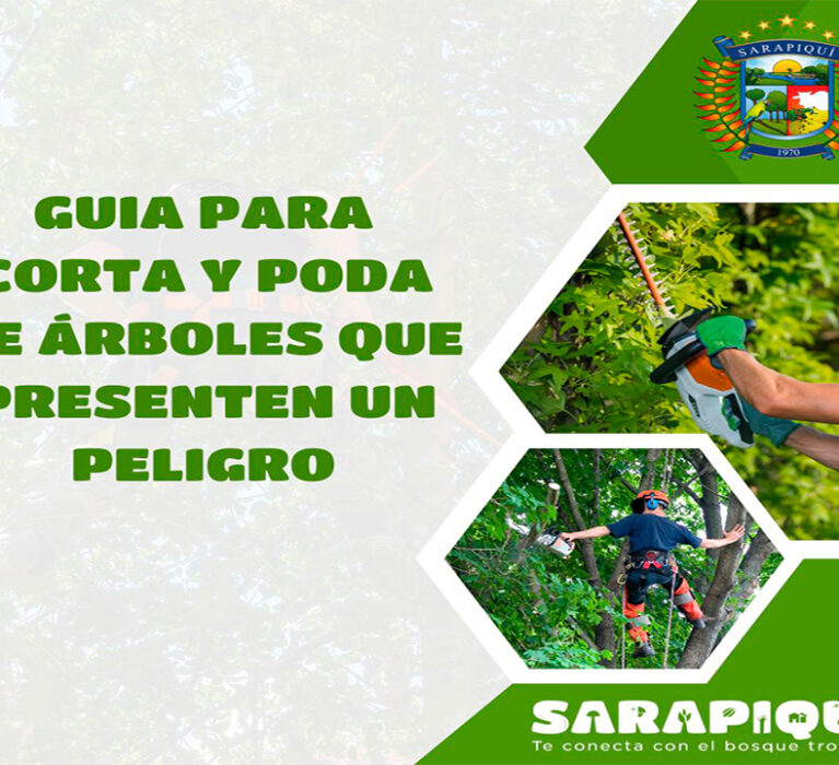 GUIA PARA CORTA Y PODA DE ÁRBOLES QUE PRESENTEN UN PELIGRO
